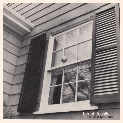 Adversity By Beach Fossils's cover