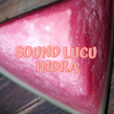 Sound Lucu's cover