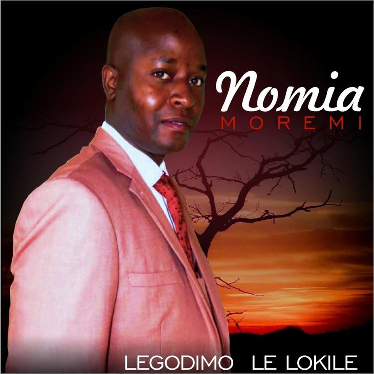 Nomia Moremi's avatar image