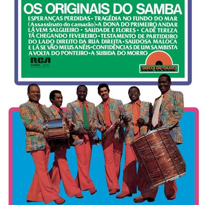 Lá Vem Salgueiro By Os Originais Do Samba's cover