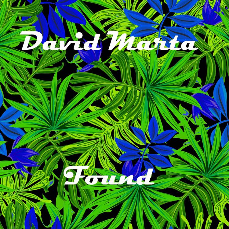 David Marta's avatar image