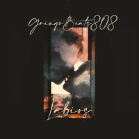 Gringobeats808's avatar cover