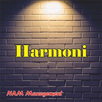 NAM MANEGEMENT's cover