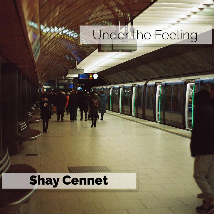 Shay Cennet's avatar image