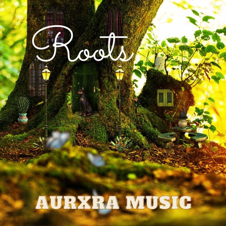 AurxraMusic's avatar image