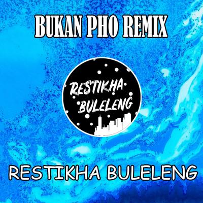 Bukan Pho (Remix)'s cover