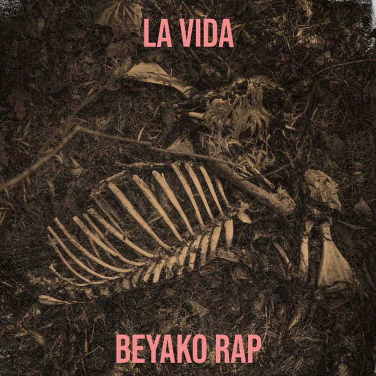 Beyako Rap's avatar image