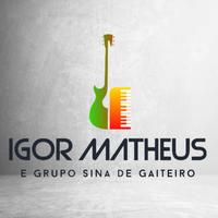 Igor Matheus e grupo Sina de Gaiteiro's avatar cover