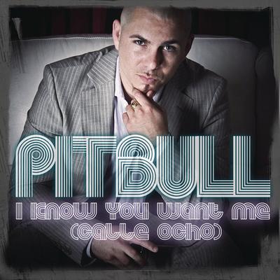I Know You Want Me (Calle Ocho) (More English Extended Mix) By Pitbull's cover