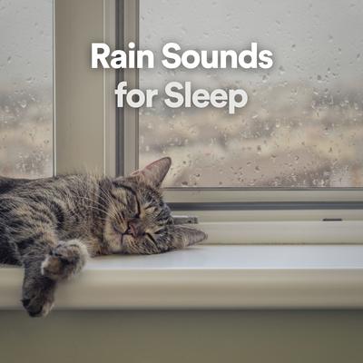 !!! Rain Sounds for Sleep !!!'s cover