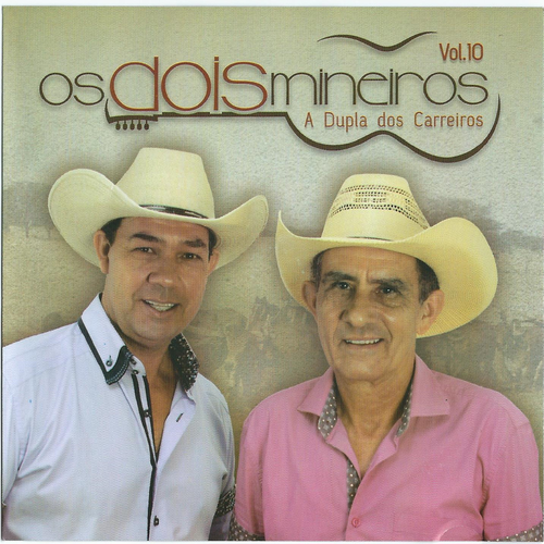 Só músicas raiz 's cover