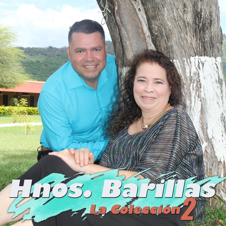 Hnos. Barillas's avatar image