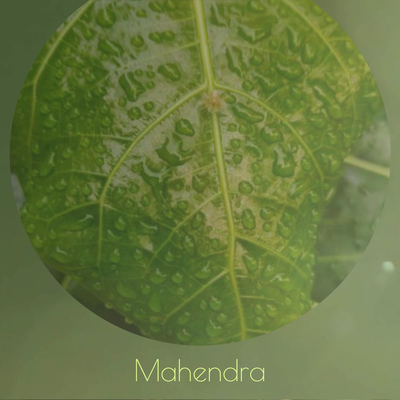 Mahendra's cover