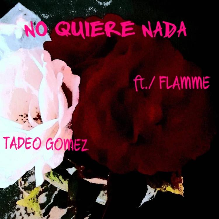 Tadeo Gomez's avatar image