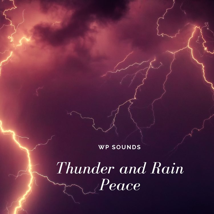 WP Sounds's avatar image