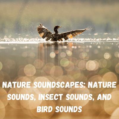 Nature Soundscapes: Nature Sounds, Insect Sounds, and Bird Sounds's cover