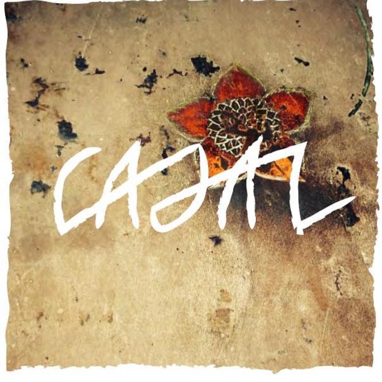 Casal's avatar image