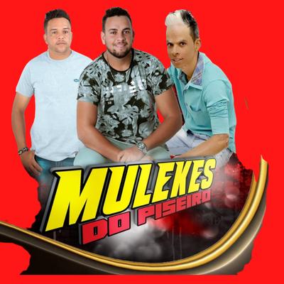 Mulekes do piseiro's cover