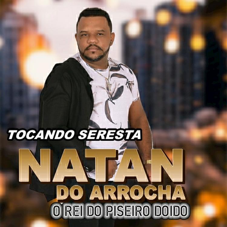 NATAN DO ARROCHA O REI DO PISEIRO DOIDO's avatar image
