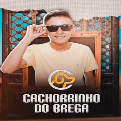 Nega Senhorita (Ao Vivo) By Cachorrinho Do Brega's cover