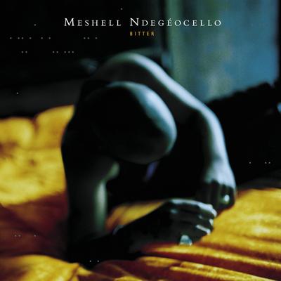 Fool of Me By Me'Shell Ndegéocello's cover