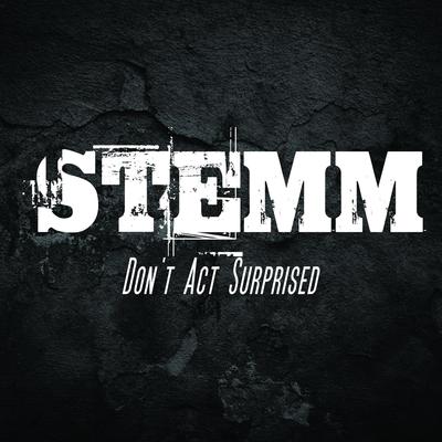 Don't Act Surprised By Stemm's cover