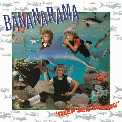 Na Na Hey Hey (Kiss Him Goodbye) By Bananarama's cover