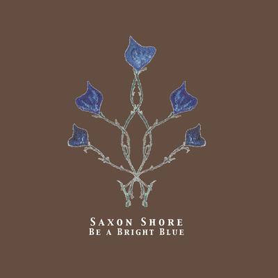 Replacement Driver By Saxon Shore's cover