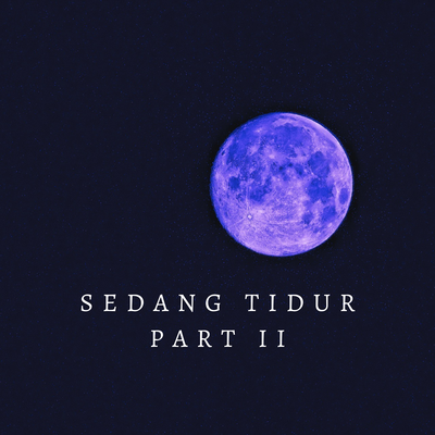 Sedang Tidur Pt II's cover