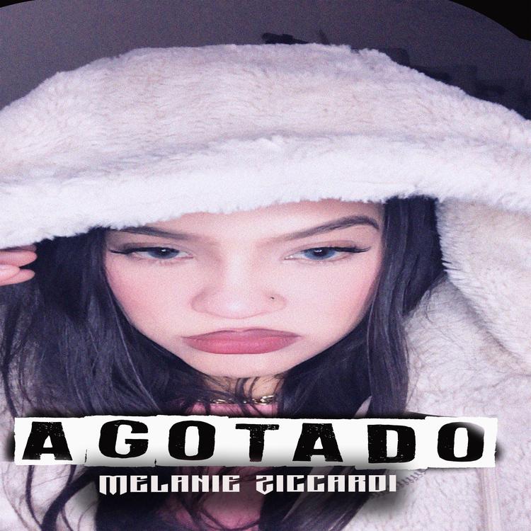 melanie ziccardi's avatar image