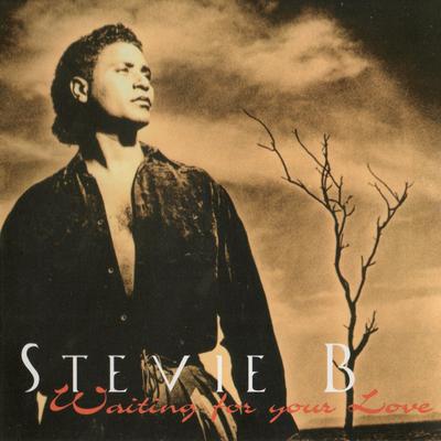 Crying Out By Stevie B's cover