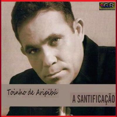 Aproveite o Tempo By Toinho de Aripibú's cover