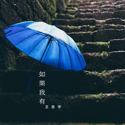 如果我有 By 王忠宇's cover