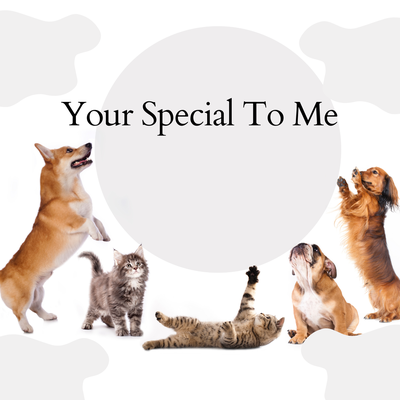 Your Special To Me's cover