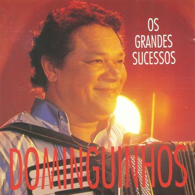 Chorinho pra ele (Instrumental) By Dominguinhos's cover