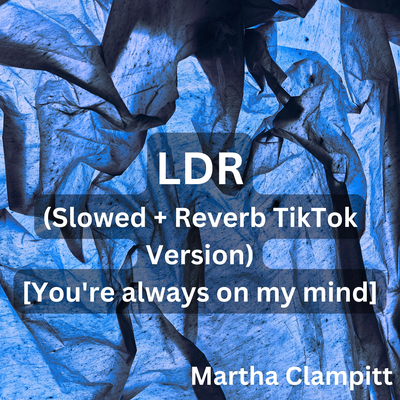 LDR (Slowed + Reverb TikTok Version) [You're always on my mind]'s cover