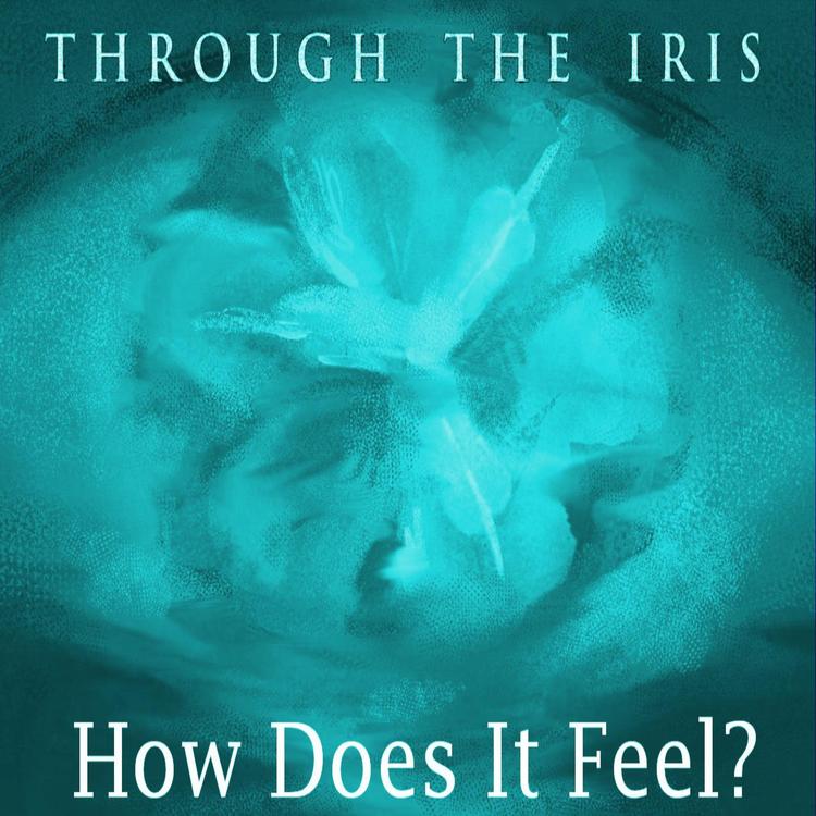 Through the Iris's avatar image