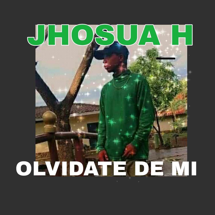 JHOSUA H's avatar image