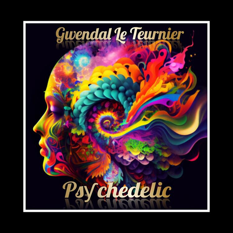 Gwendal Le Teurnier's avatar image