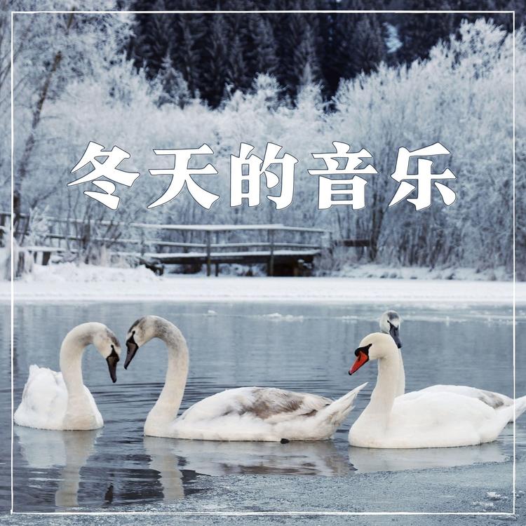 冬天音乐's avatar image