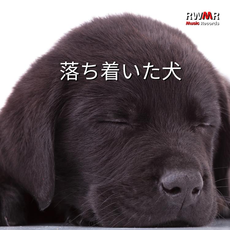 RW 犬のためのなだめるような音's avatar image