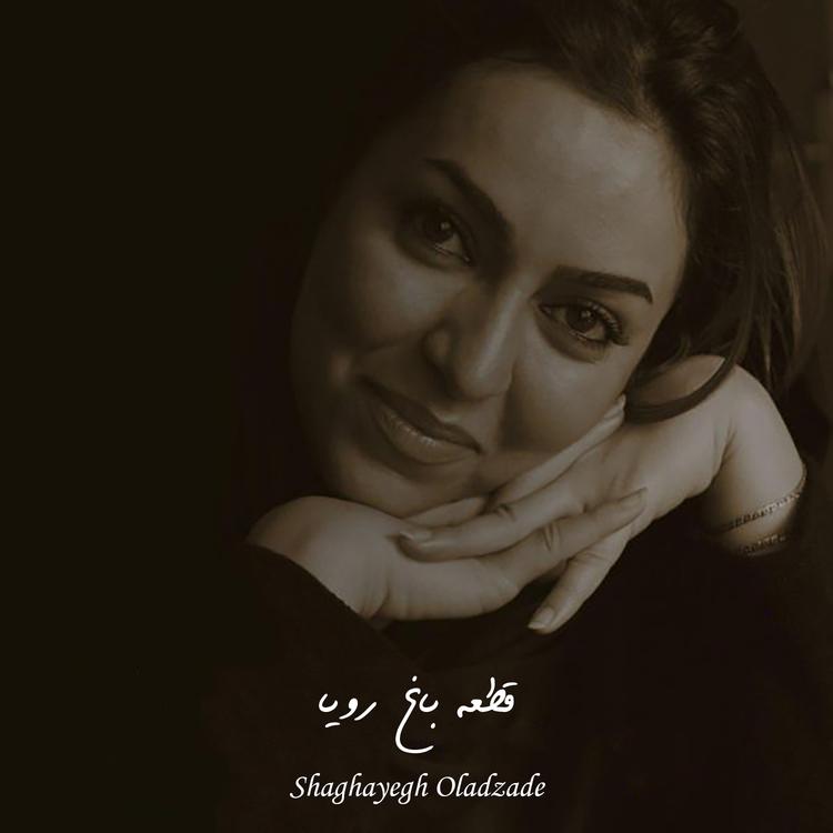 Shaghayegh Oladzade's avatar image