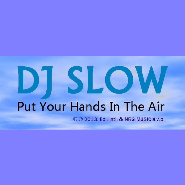 DJ Slow's avatar image