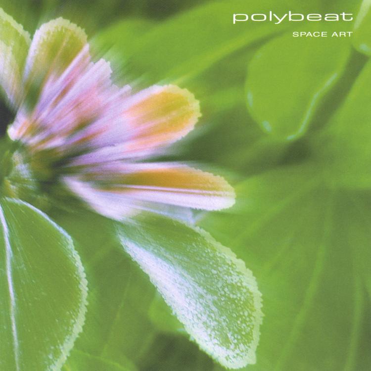 Polybeat's avatar image