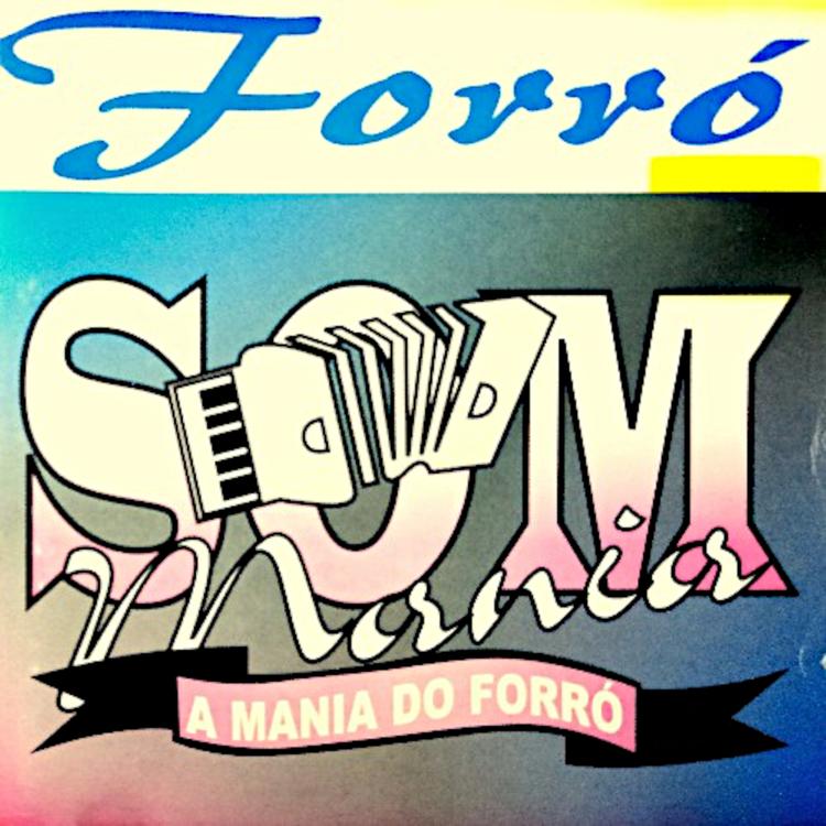 Forró Som Mania's avatar image