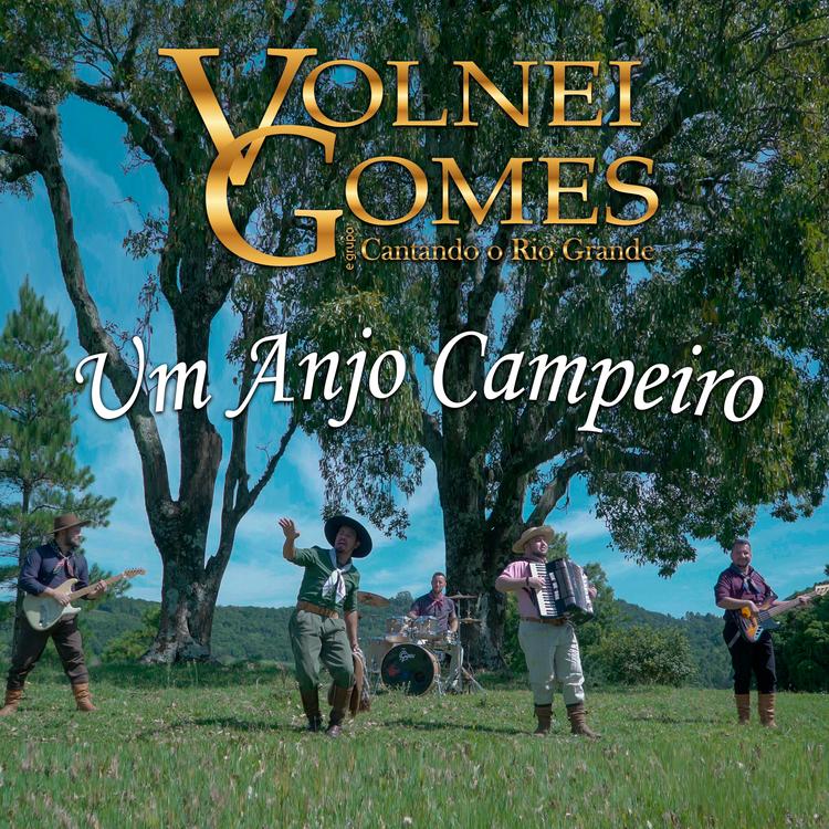 Volnei Gomes & Cantando o Rio Grande's avatar image