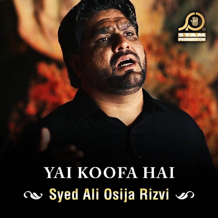 Syed Ali Osija Rizvi's avatar image