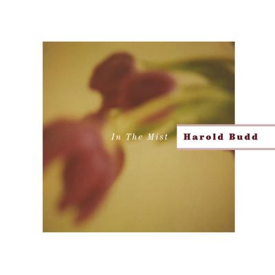 The Foundry (for Mika Vainio) By Harold Budd's cover