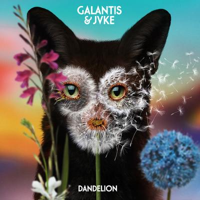 Dandelion By Galantis, JVKE's cover