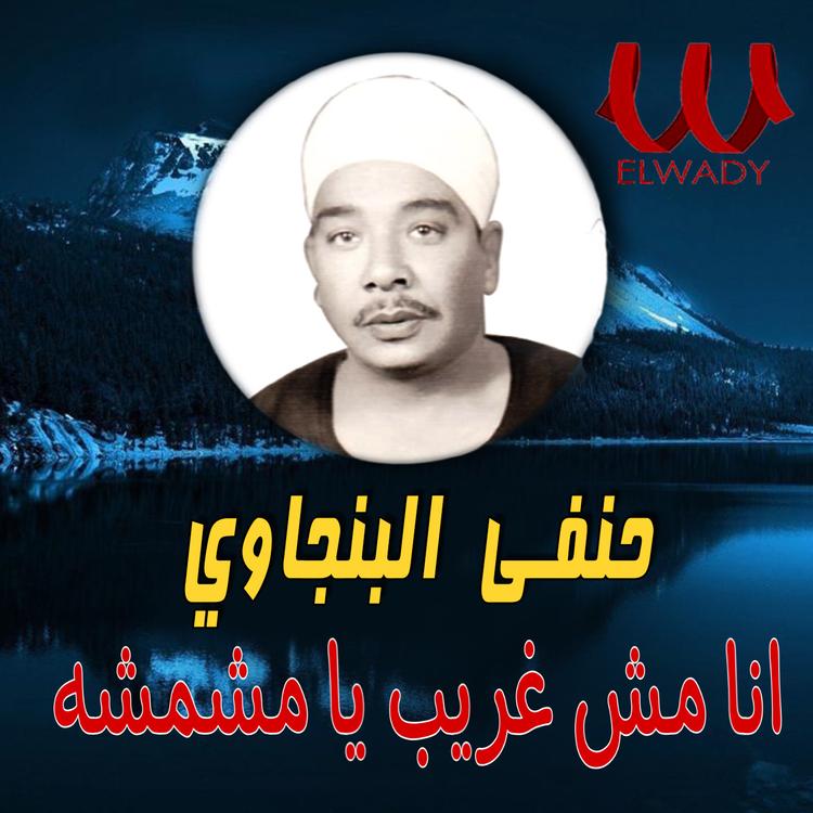 Hanafy El Bengawy's avatar image